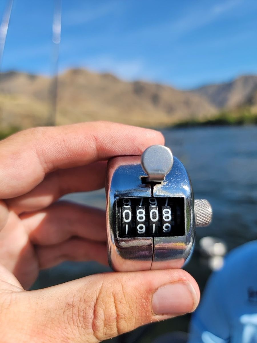 Haulin' Bass Tournament