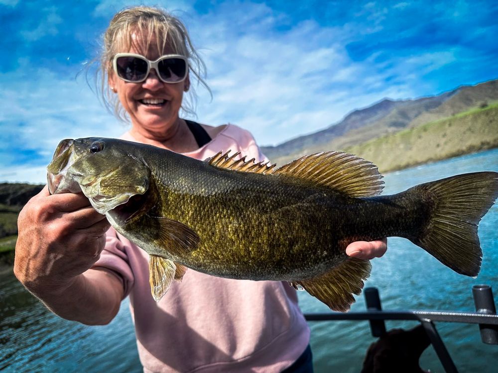 Smallmouth Bass caught on the Snake River, Idaho