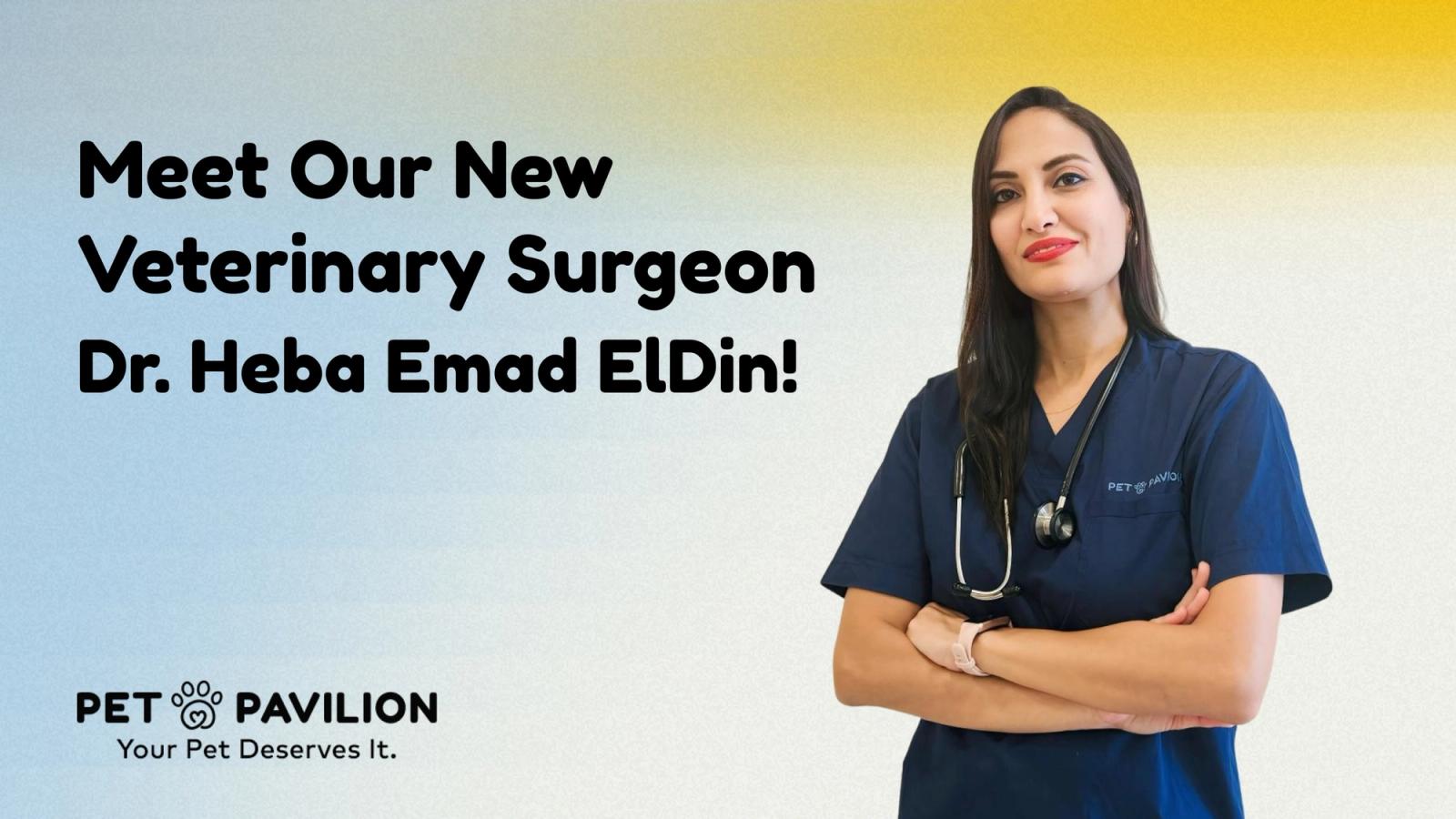 Meet Our New Veterinary Surgeon – Dr. Heba Emad ElDin!