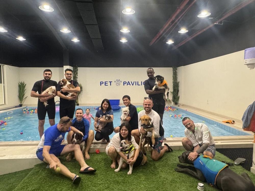 Pet Pool Party at Pet Pavilion: Splash into Summer Fun! 🐾🌊