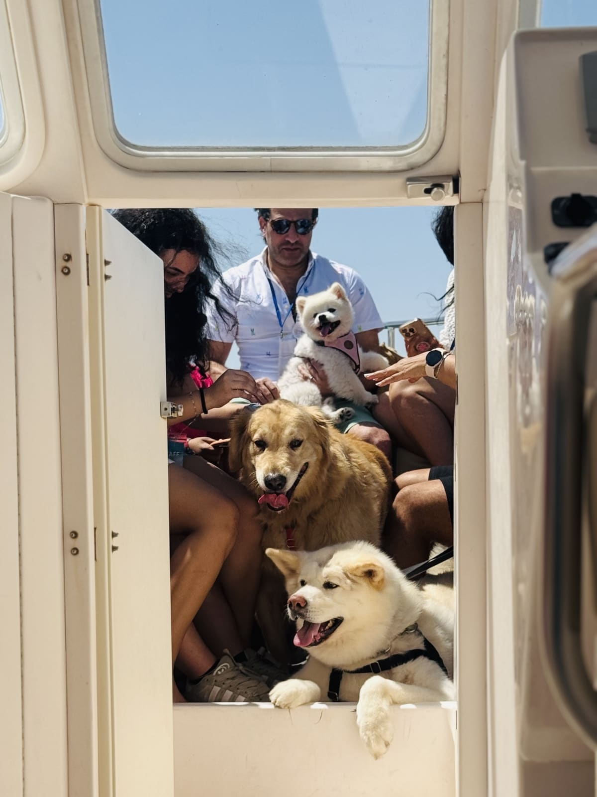 Paws & Waves photo 13