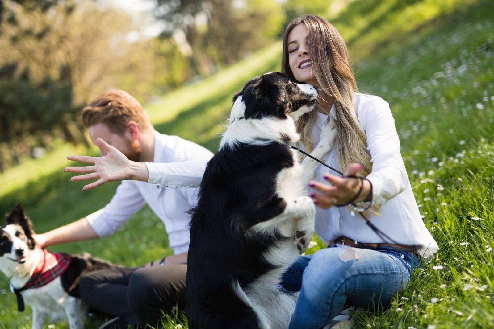 The Incredible Bond: How Dogs Shaped Human Evolution