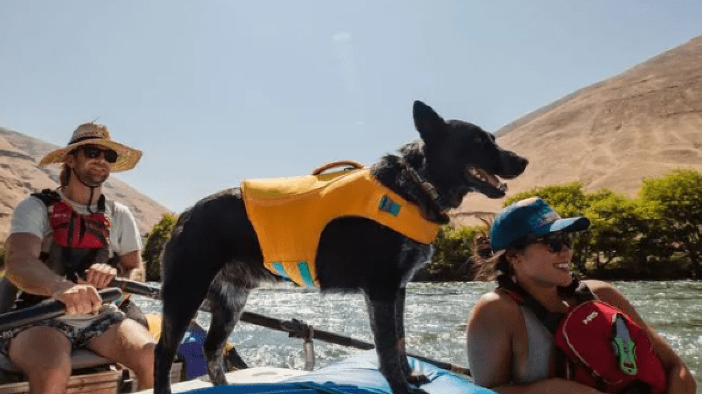 Why the Ruffwear Float Coat™ is the Only Dog Life Jacket You'll Ever Need