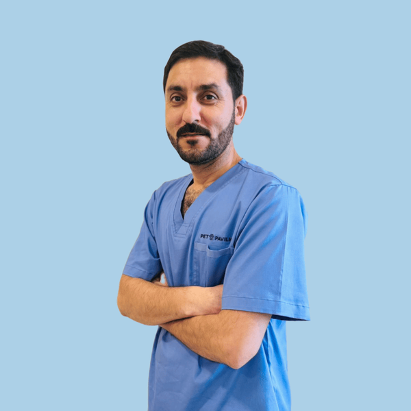 Hanif Khan