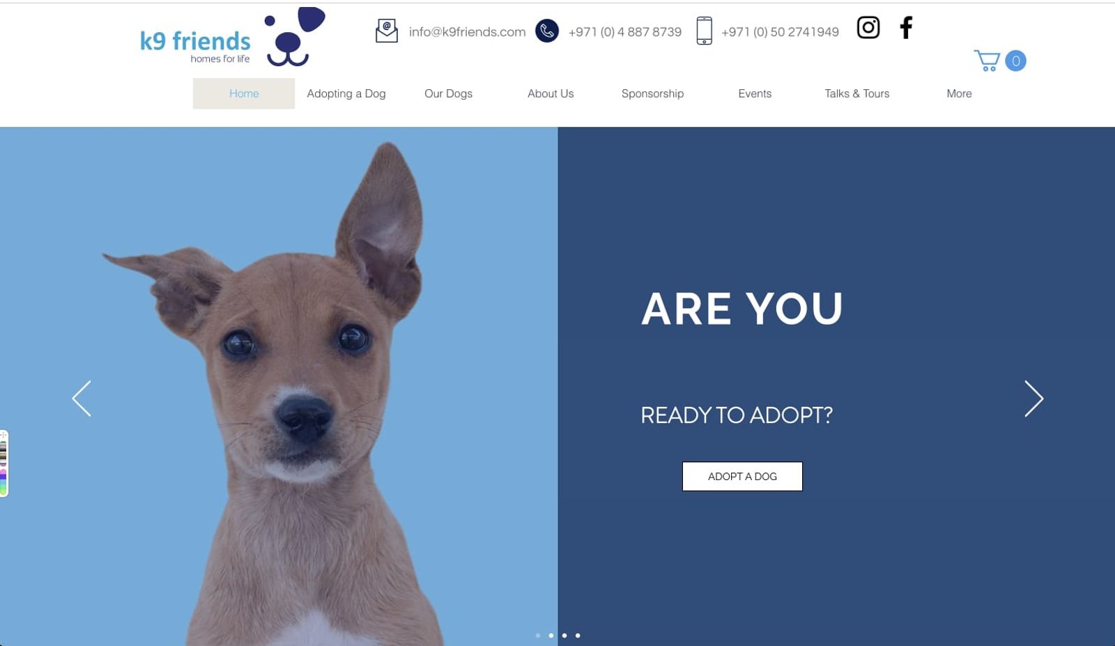 K9 Friends website screenshot
