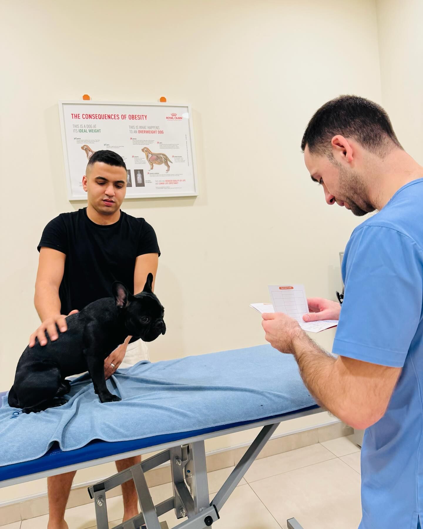 Furry Friends' Health: Why Regular Vet Visits Are Non-Negotiable