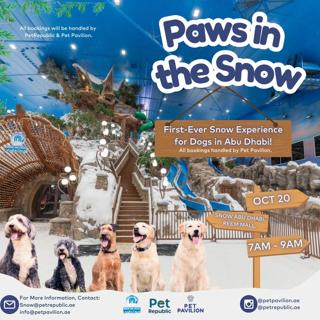  First-Ever Snow Experience for Dogs in Abu Dhabi! 