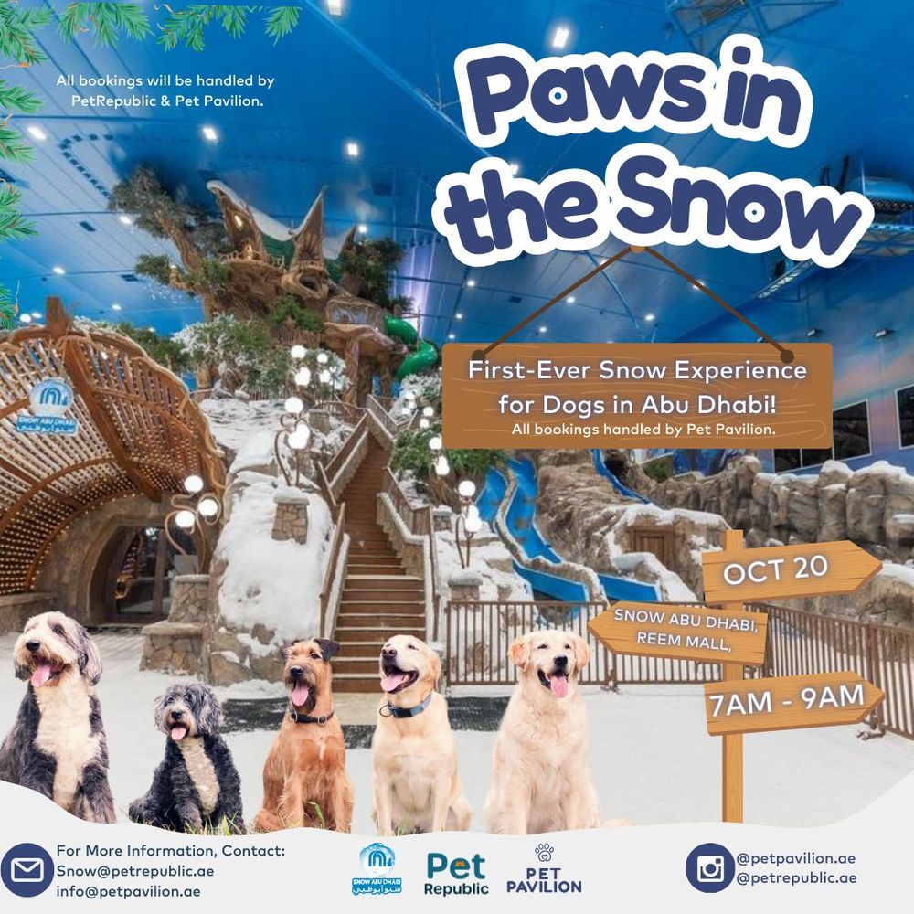  First-Ever Snow Experience for Dogs in Abu Dhabi! 