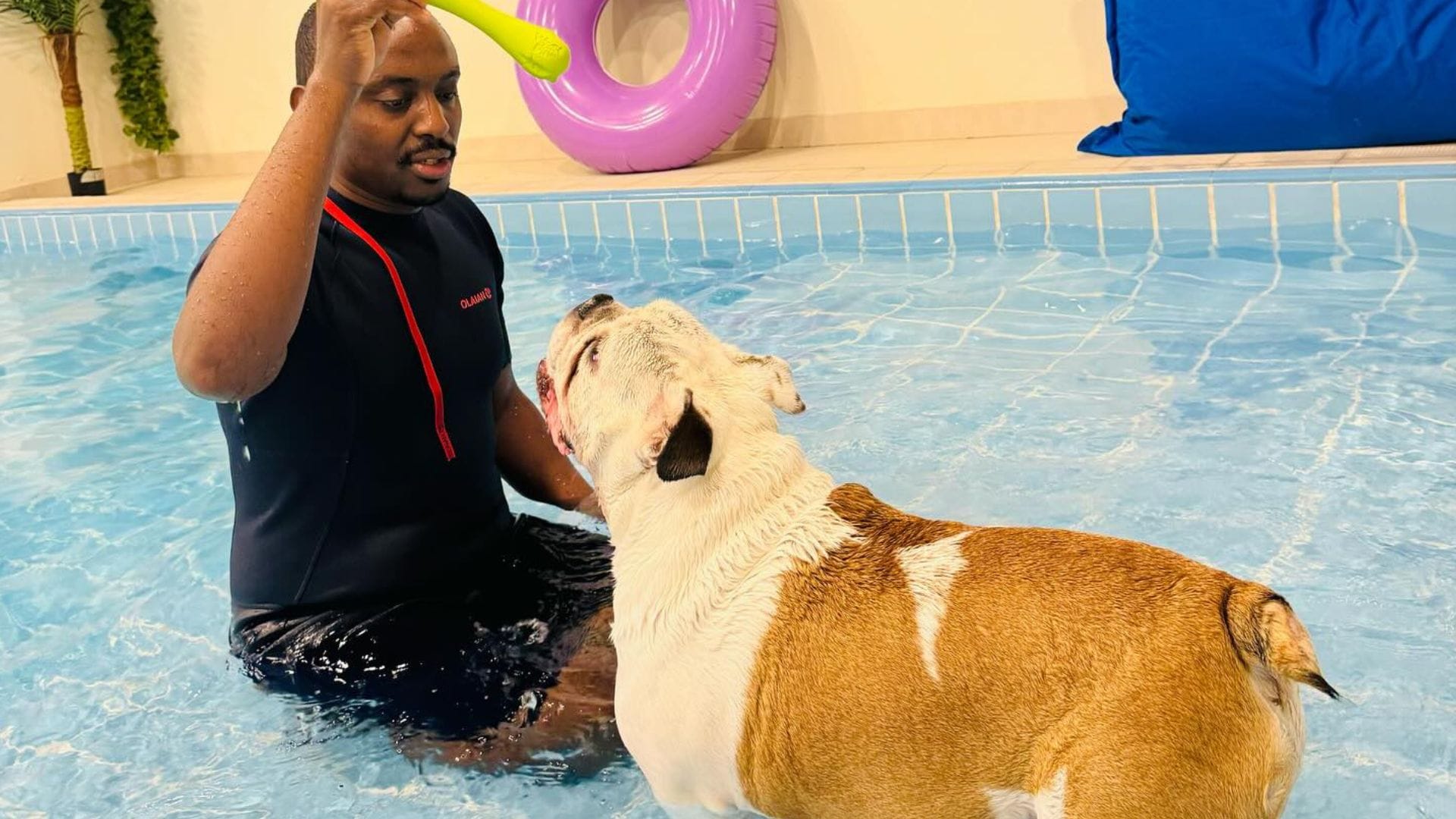 Pet Pavilion Dog Swimming Pool Abu Dhabi: Unleash Fun & Promote Wellness