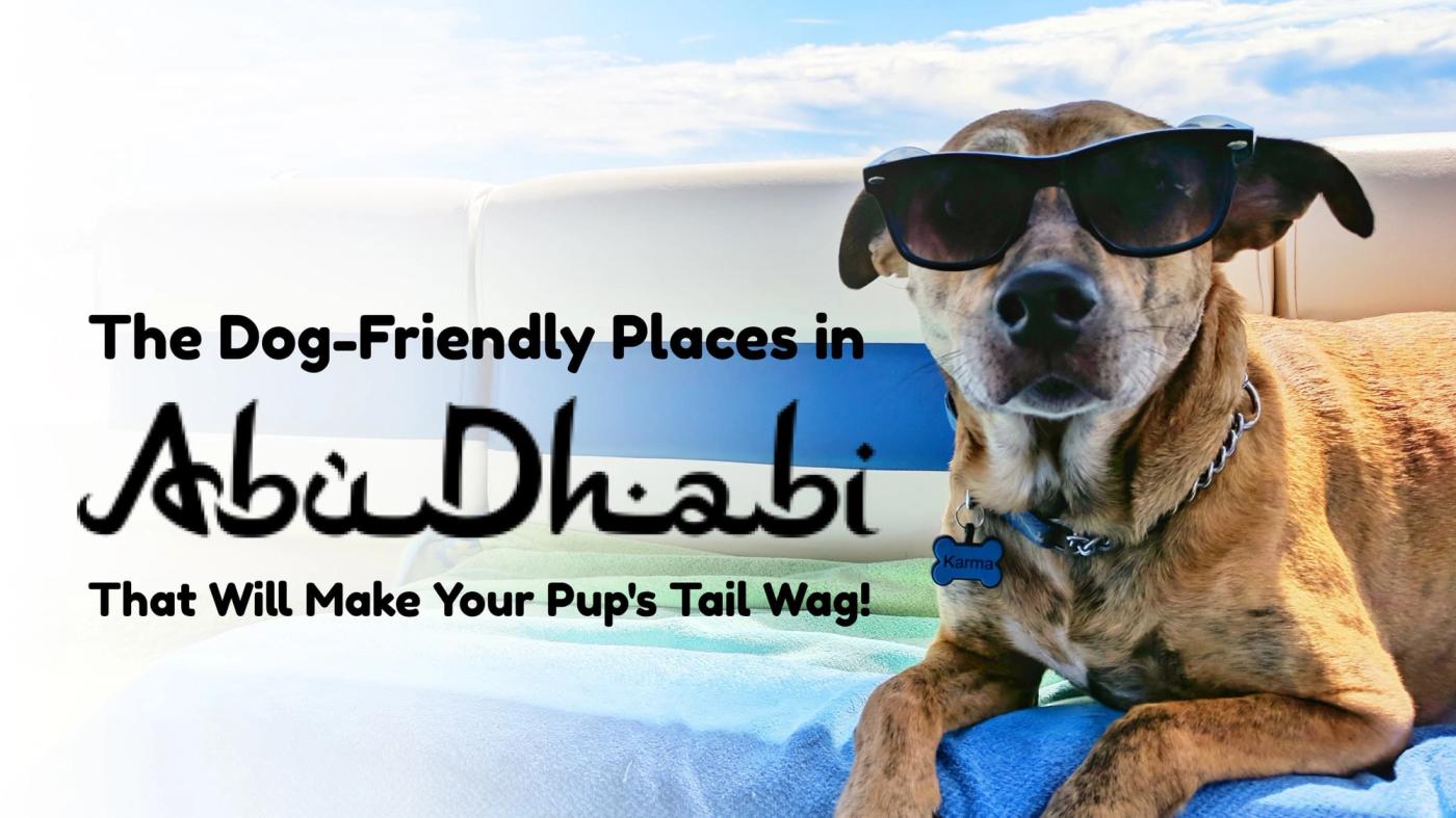 The Dog-Friendly Places in Abu Dhabi That Will Make Your Pup's Tail Wag!