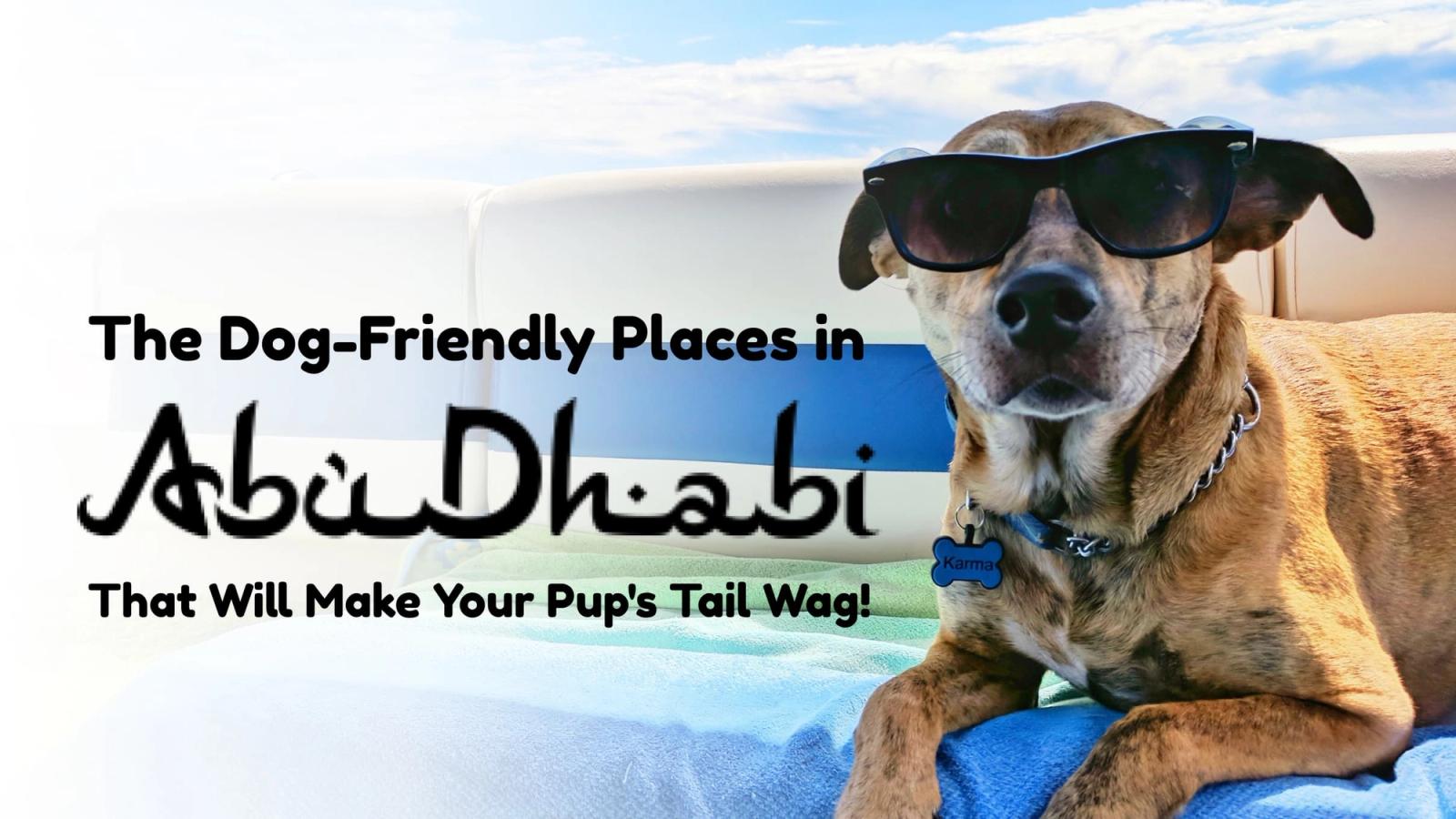 The Dog-Friendly Places in Abu Dhabi That Will Make Your Pup's Tail Wag!