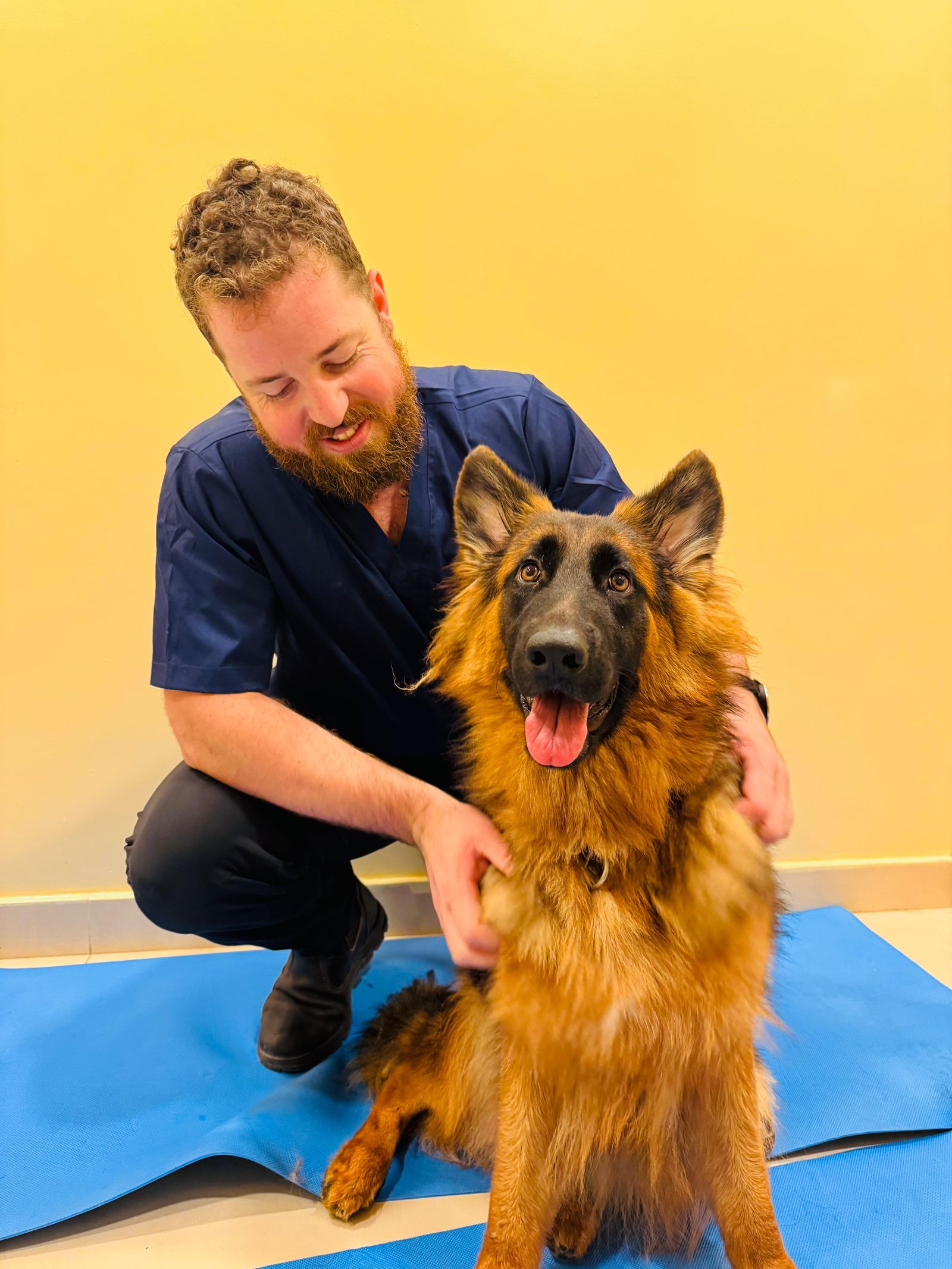 Nel Engelbert Veterinary Physiotherapy Specialist at Pet Pavilion Abu Dhabi