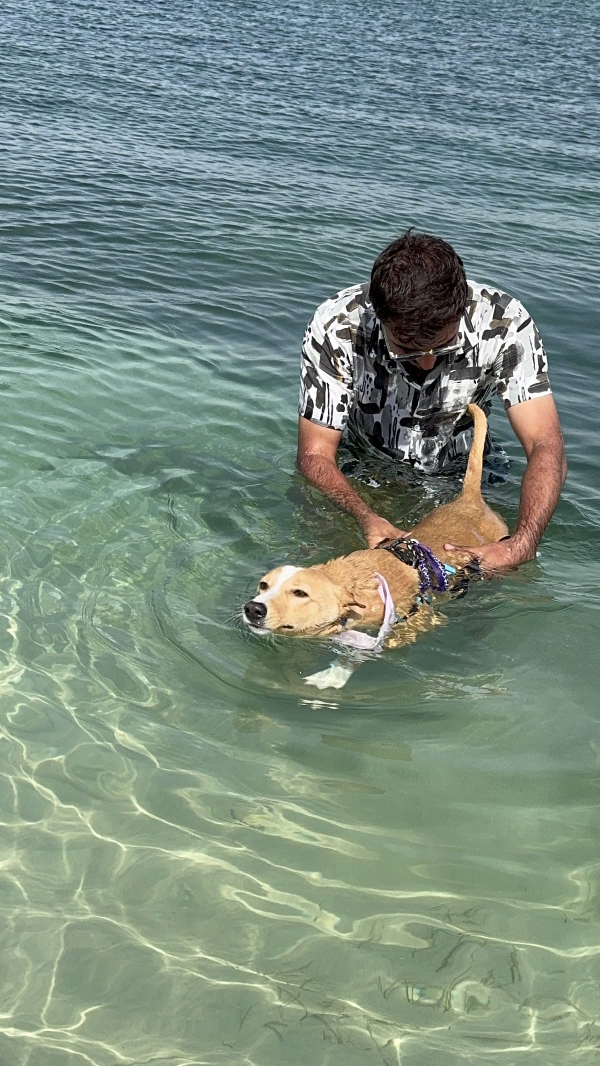 Paws & Waves photo 30