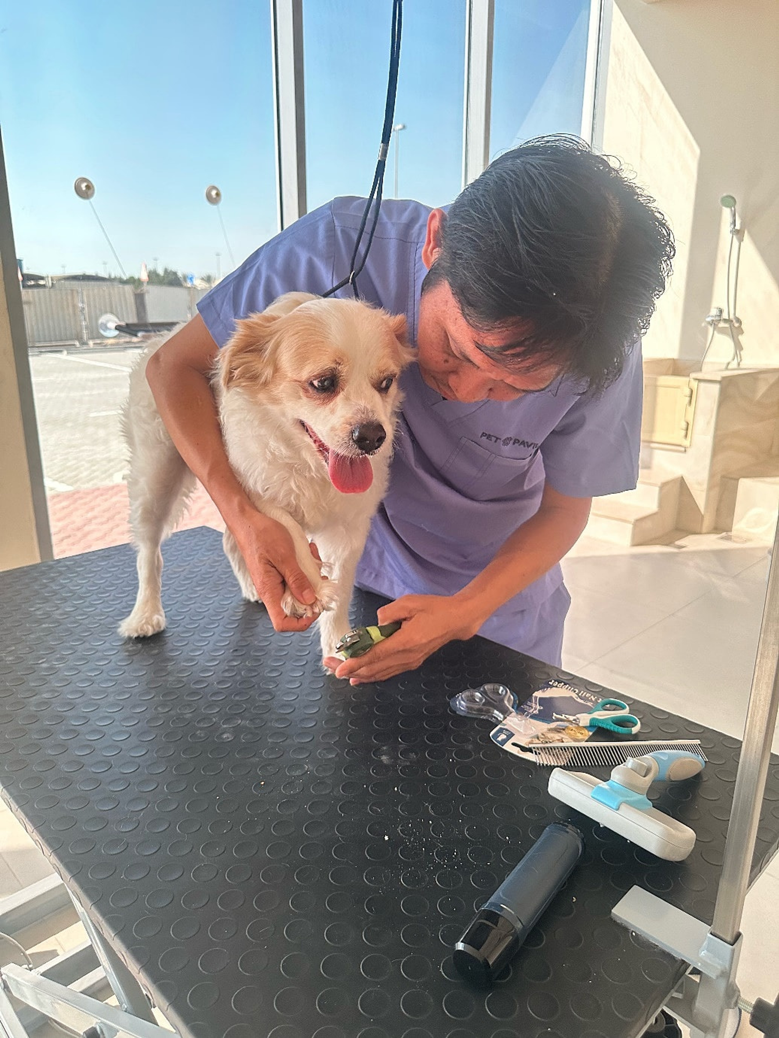 A person holding a dogDescription automatically generated with low confidence