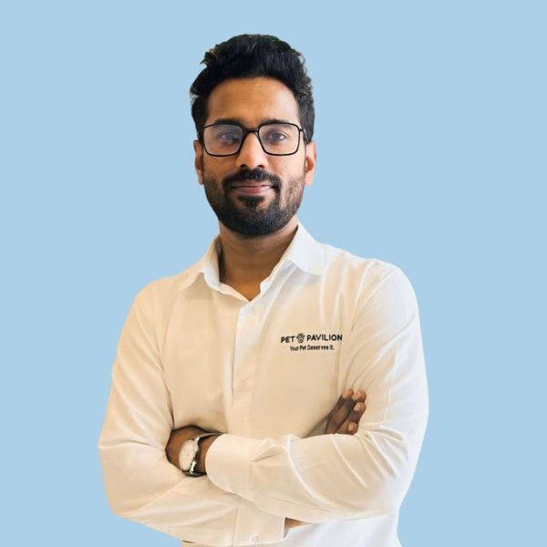 Ansal Ali