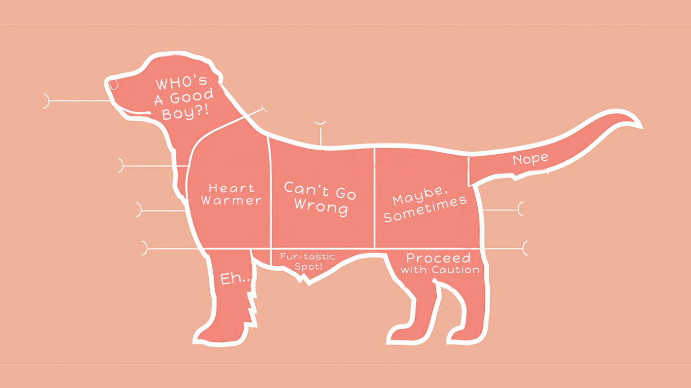 The Pawfect Way to Pet Your Dog: A Guide to Canine Affection