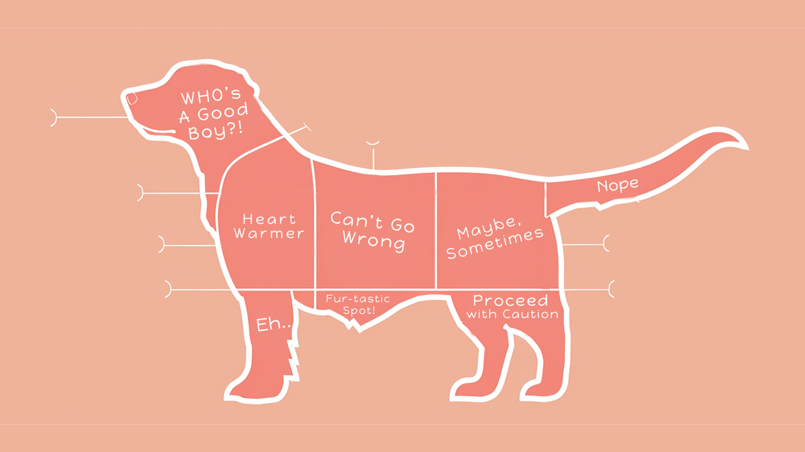 The Pawfect Way to Pet Your Dog: A Guide to Canine Affection