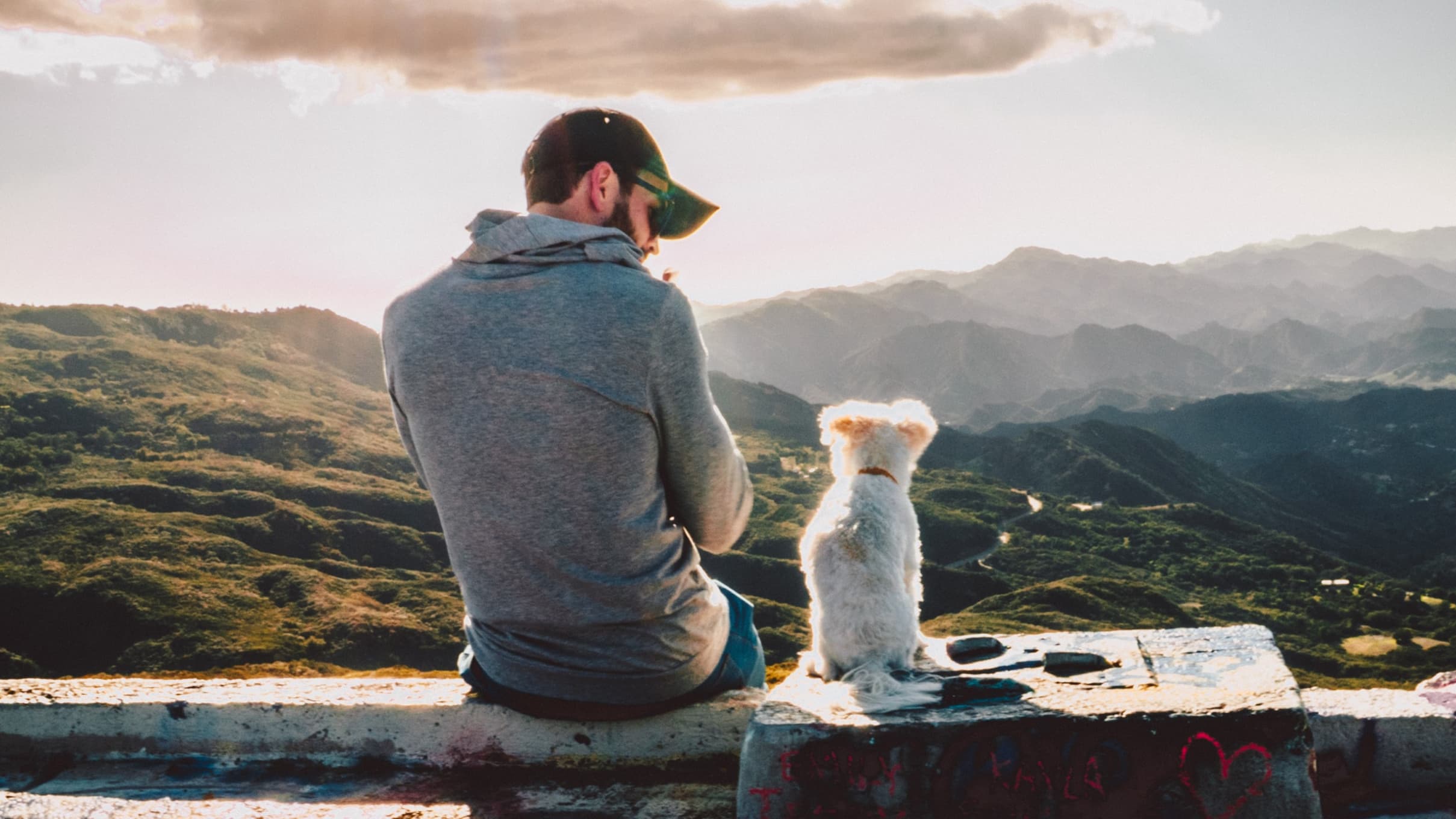 Building Trust with Your Furry Friend: A Dog Owner's Step-by-Step Guide