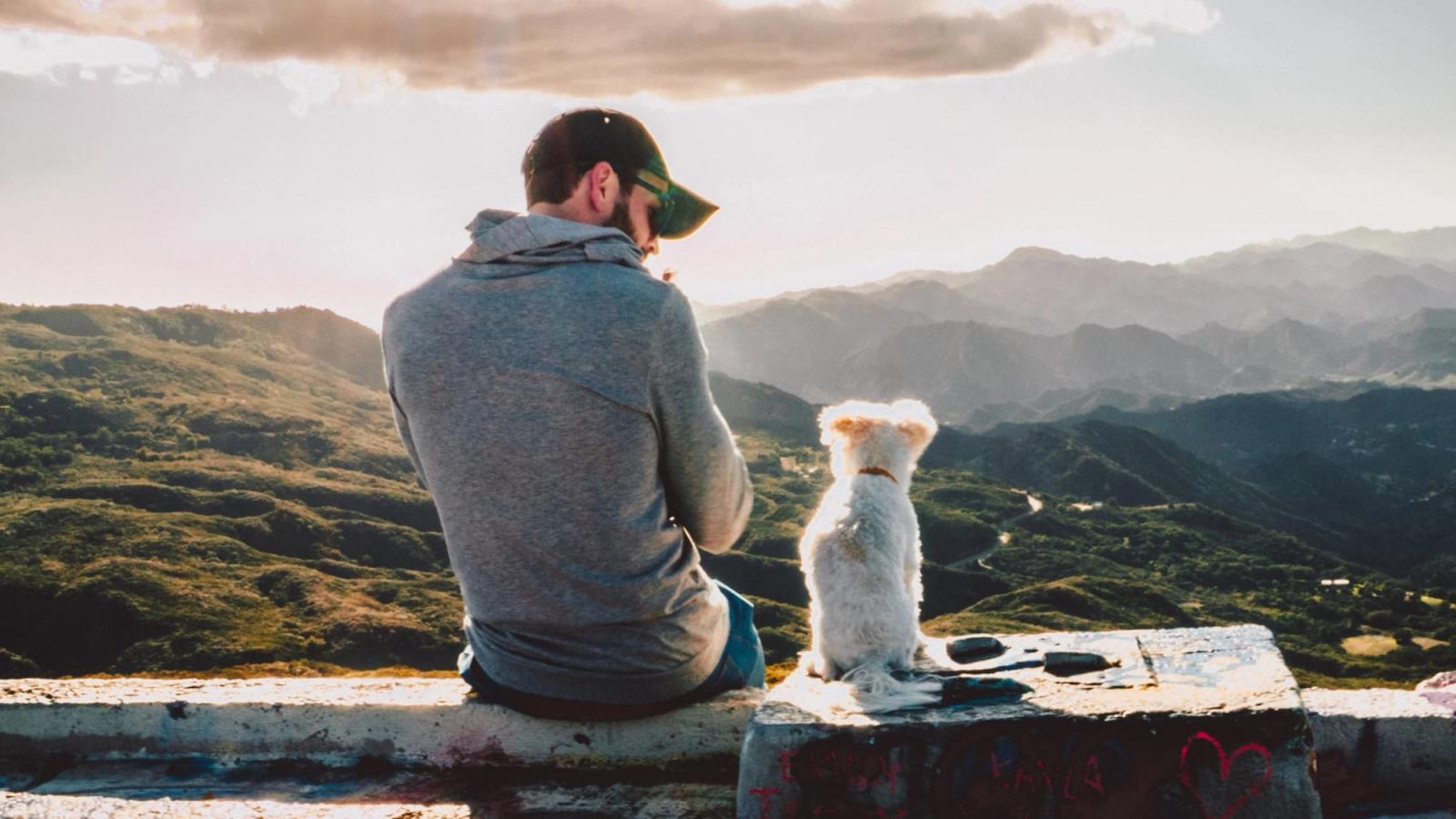 Building Trust with Your Furry Friend: A Dog Owner's Step-by-Step Guide