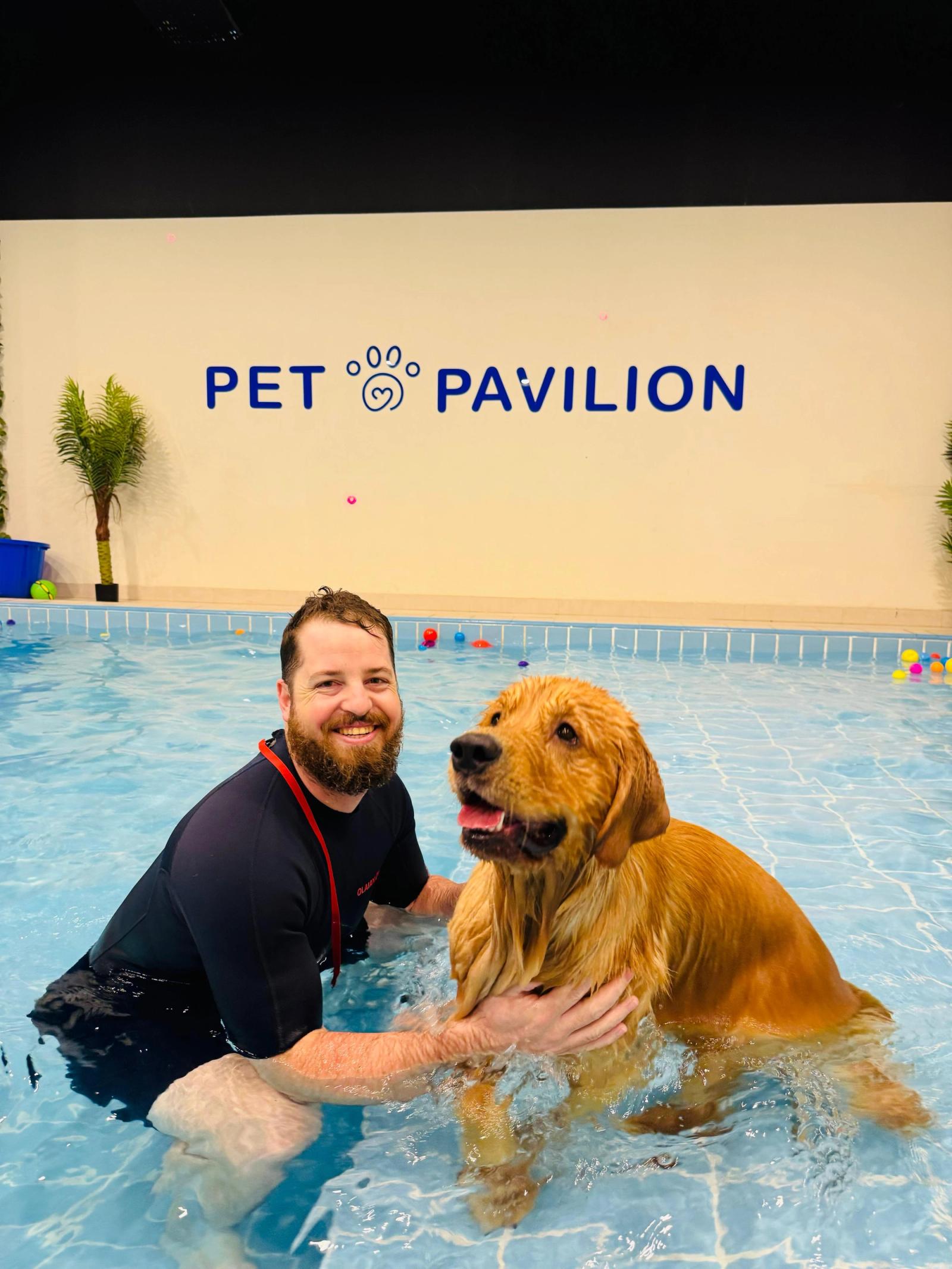 Physiotherapy for Pets in Abu Dhabi: Helping Your Pets Move, Heal, and Thrive