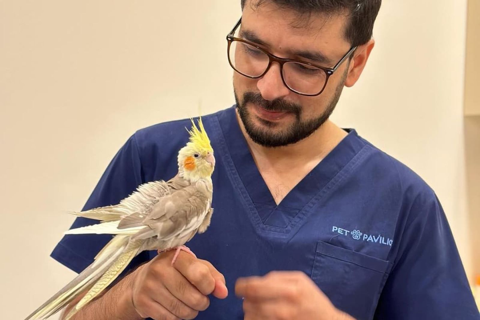 Expert Bird Care Tips from Pet Pavilion Veterinary Clinic