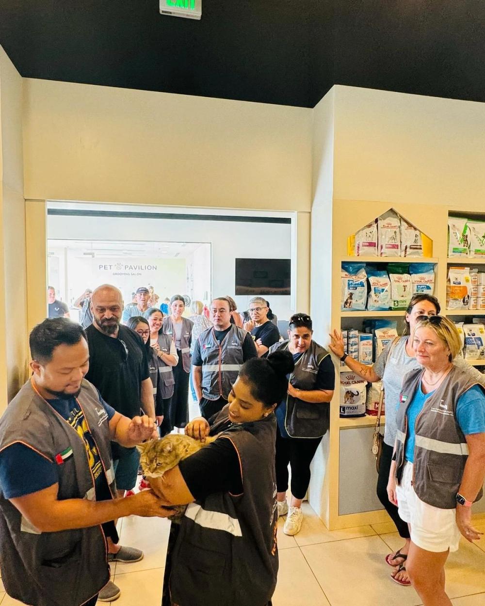 Cat Adoption Day in collaboration with Microchipped UAE