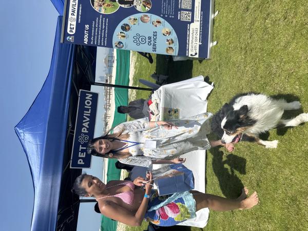 Paws & Waves photo 18