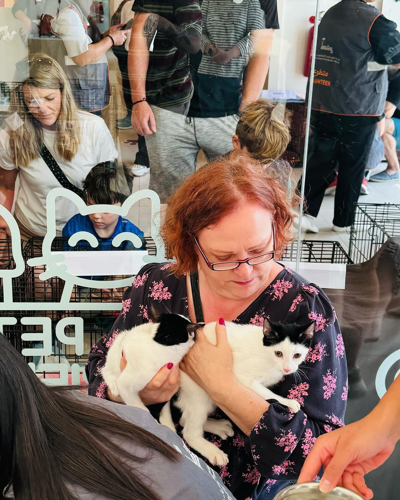 Cat Adoption Day in collaboration with Microchipped UAE photo 7