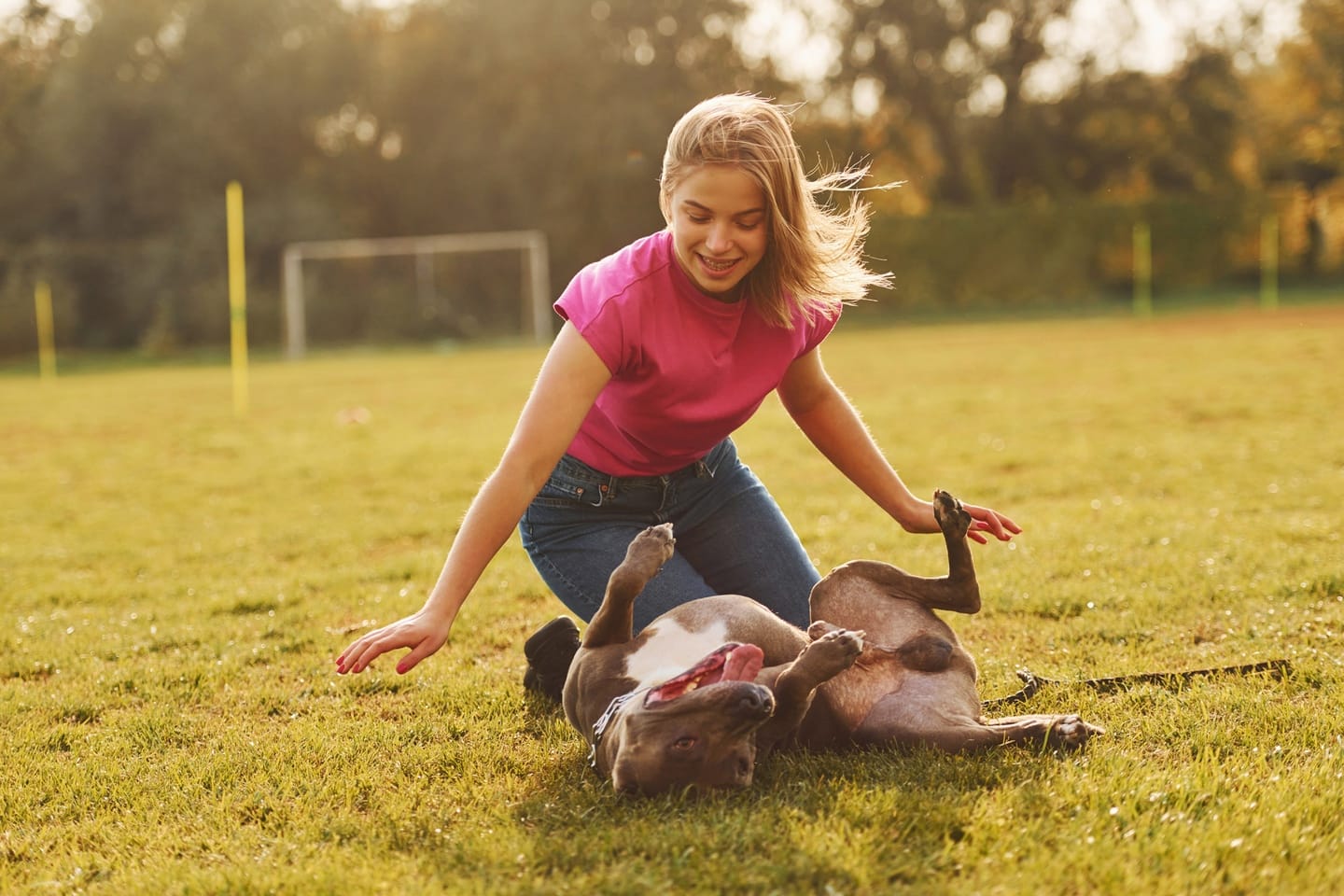 How Your Interactions Affect Your Pet