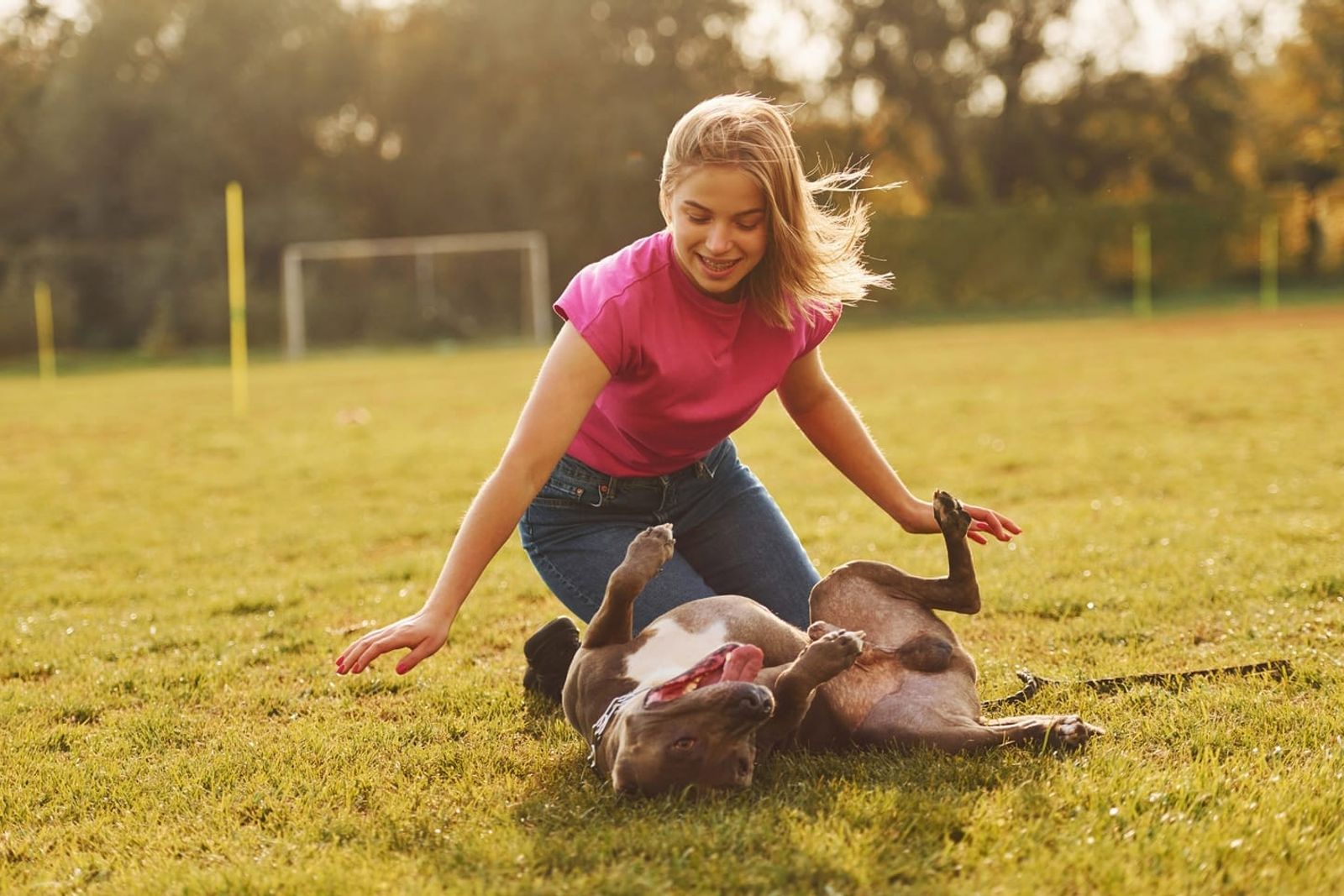 How Your Interactions Affect Your Pet