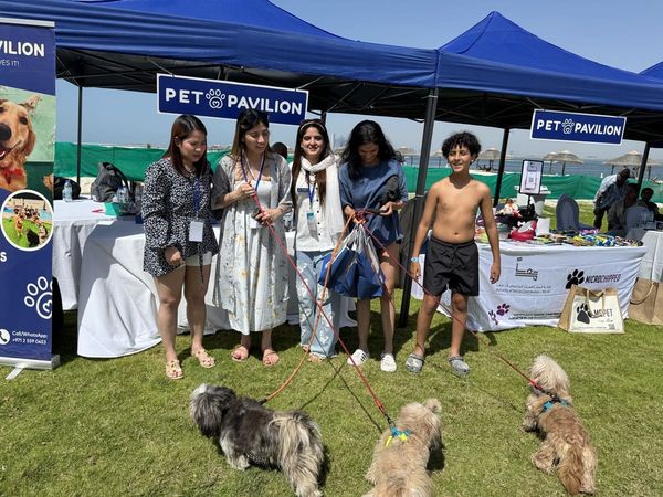 Paws & Waves photo 28