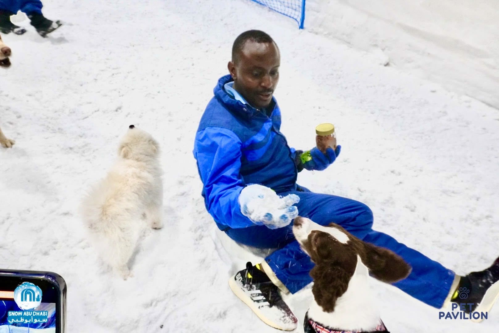 First-Ever Snow Experience for Dogs in Abu Dhabi! photo 14