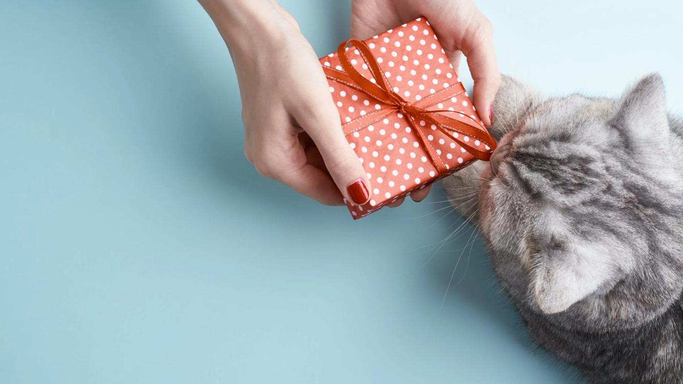 The Best Gifts for Cat Lovers in 2023