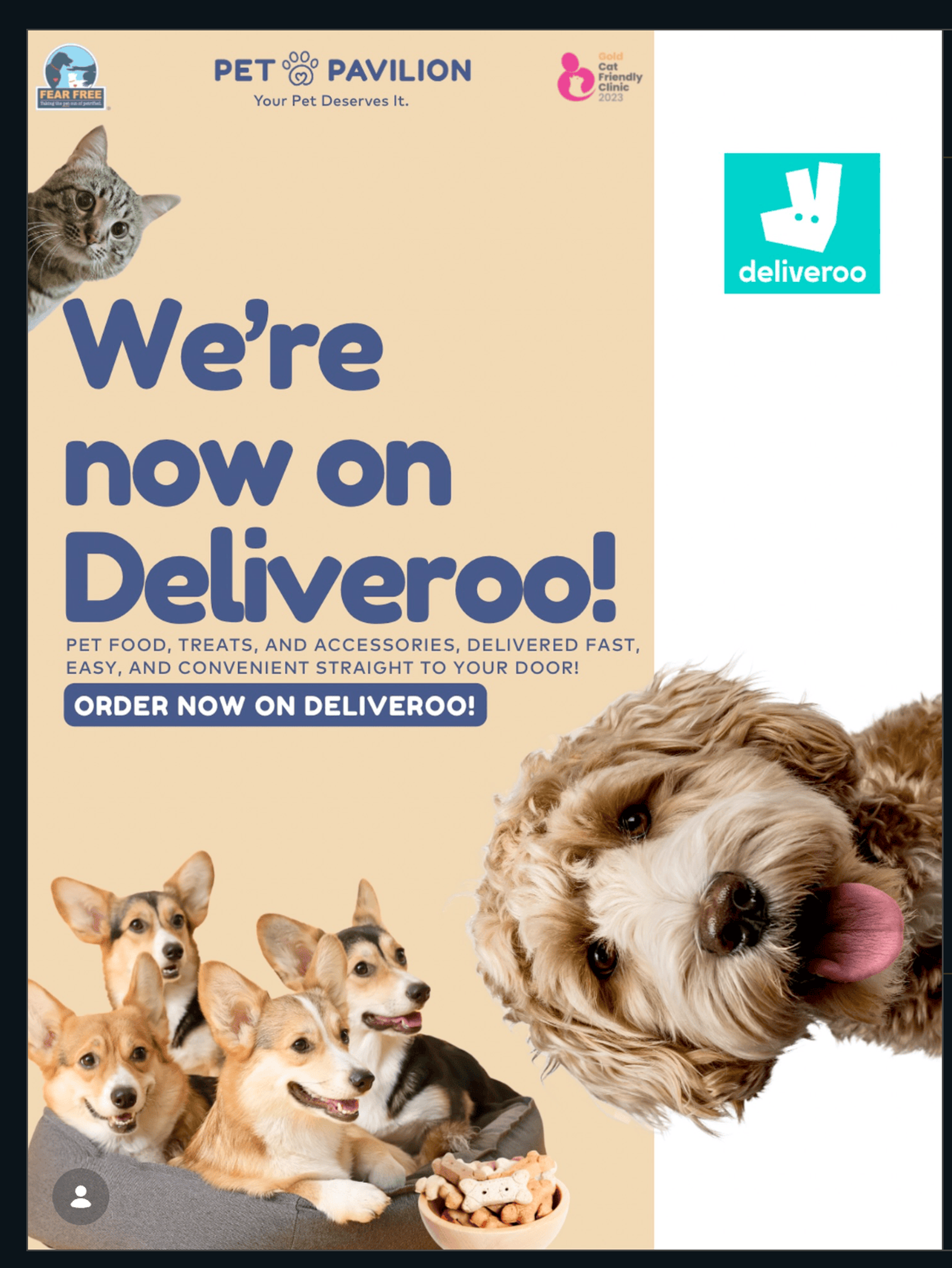 Big News: Pet Pavilion is Now on Deliveroo! 🛵🐾
