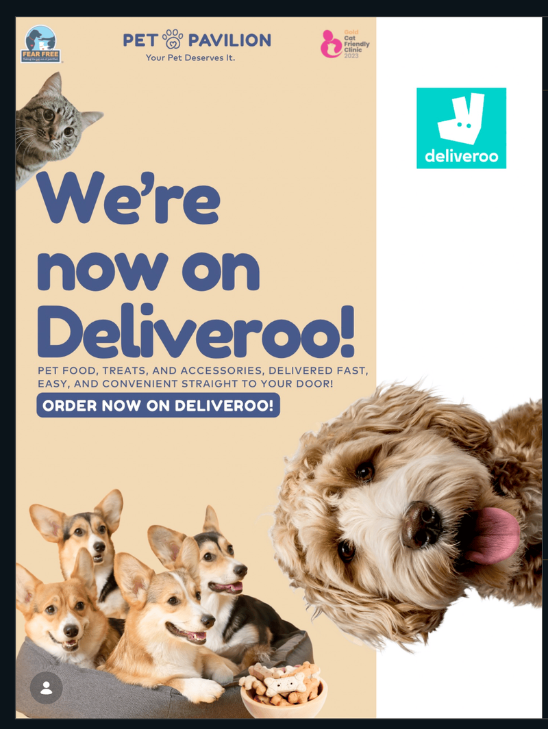 Big News: Pet Pavilion is Now on Deliveroo! 🛵🐾