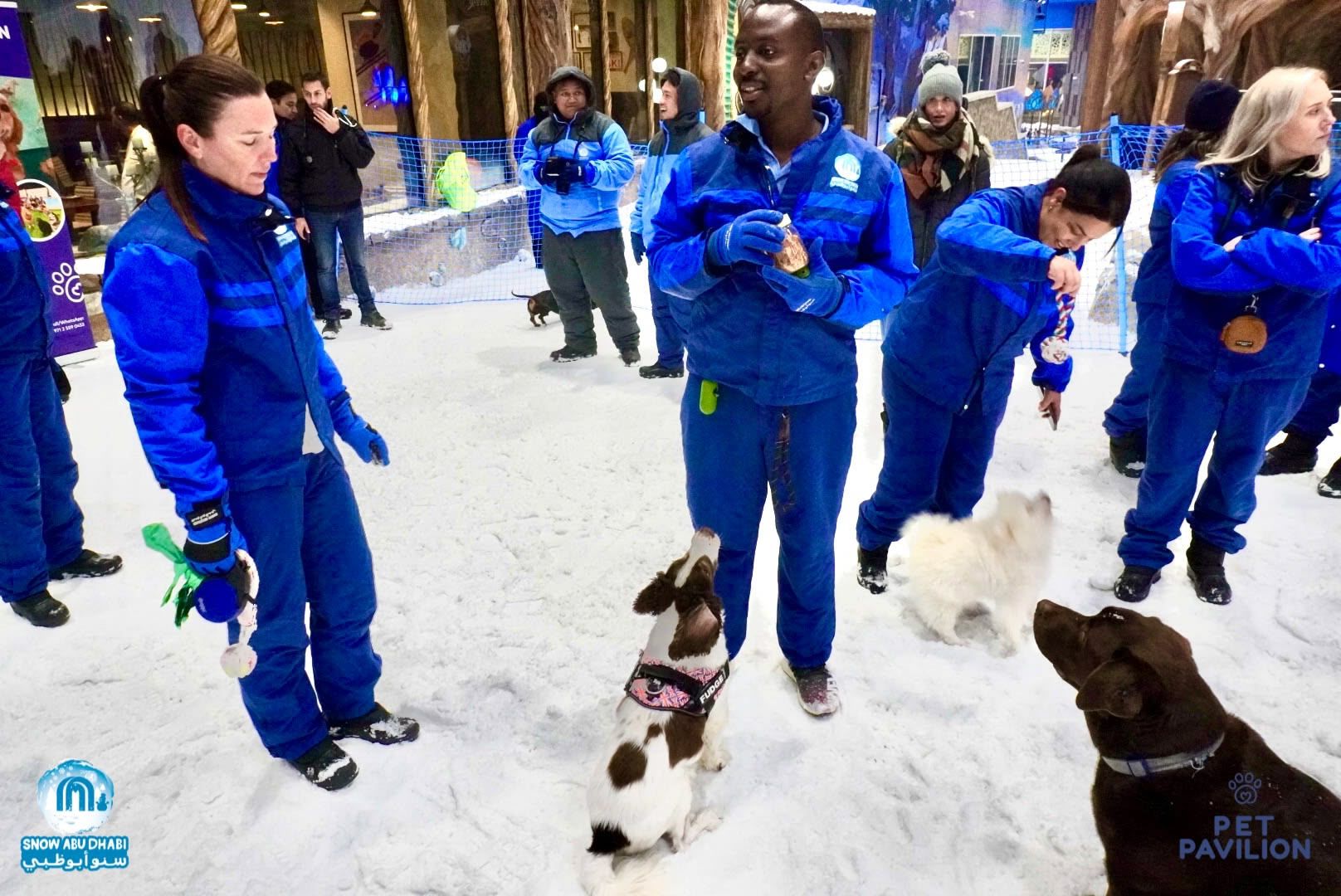 First-Ever Snow Experience for Dogs in Abu Dhabi! photo 8