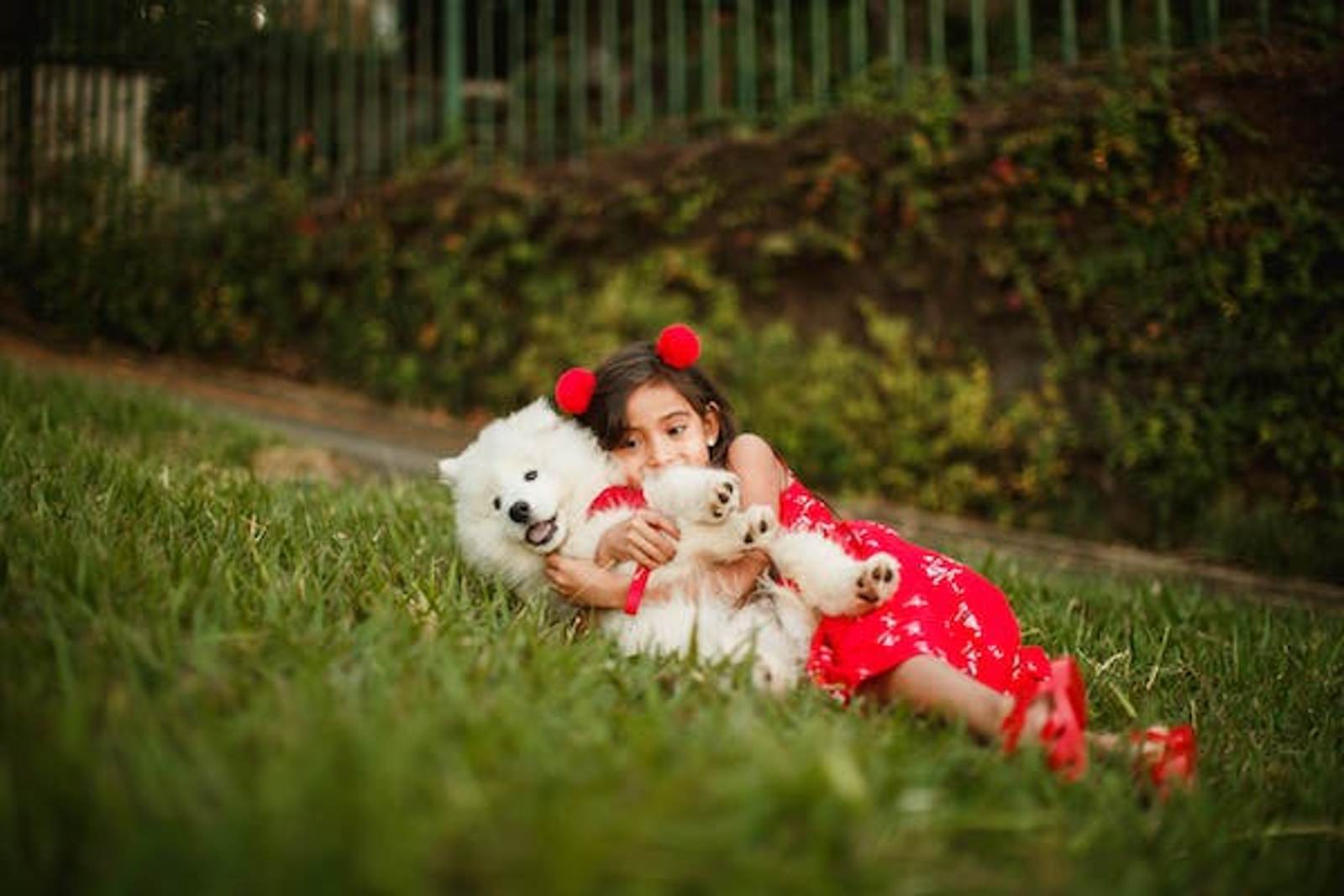 a girl playing with a puppy