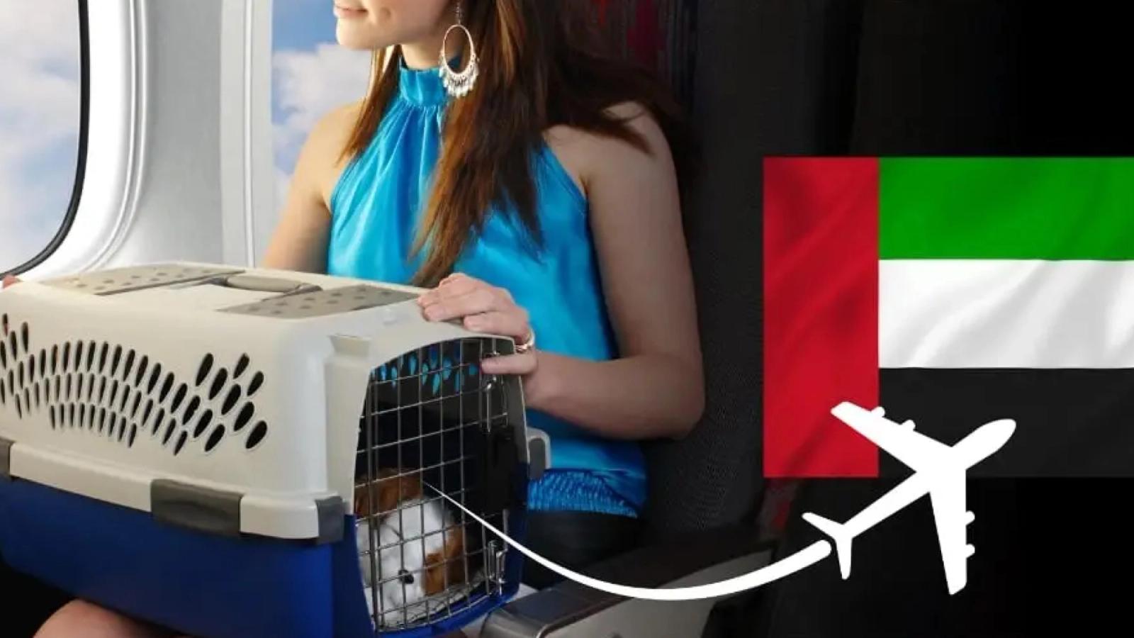 Pet Flight Options: Your Guide to Travelling with Pets in the UAE
