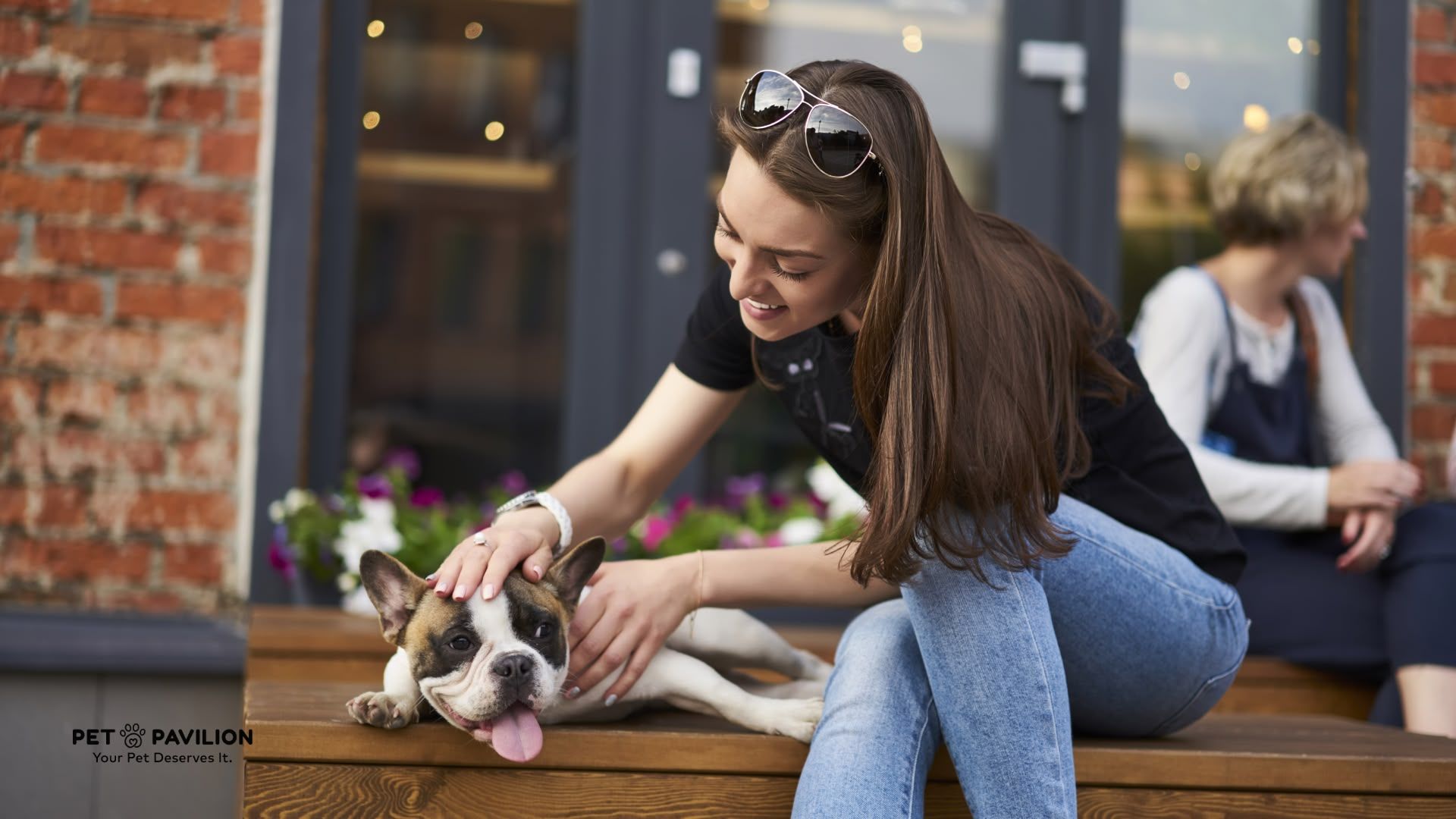 Dubai's Best Pet-Friendly Indoor Restaurants: Where You and Your Pet Can Dine in Style