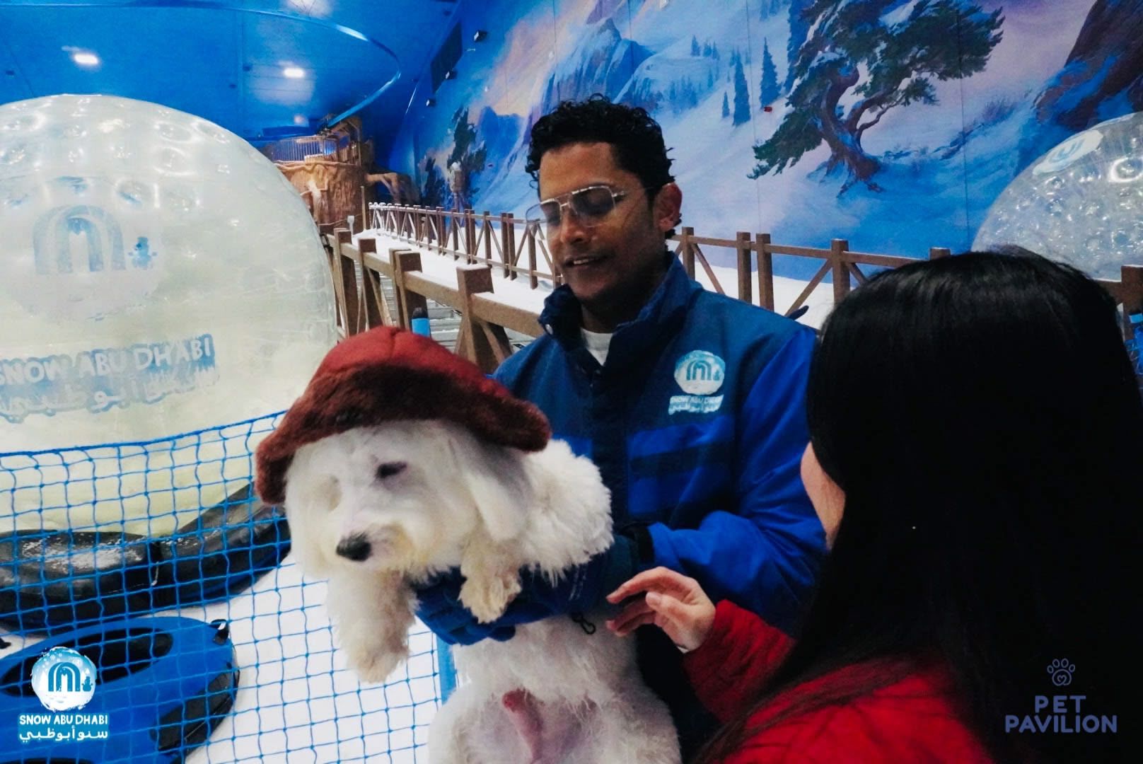 First-Ever Snow Experience for Dogs in Abu Dhabi! photo 20