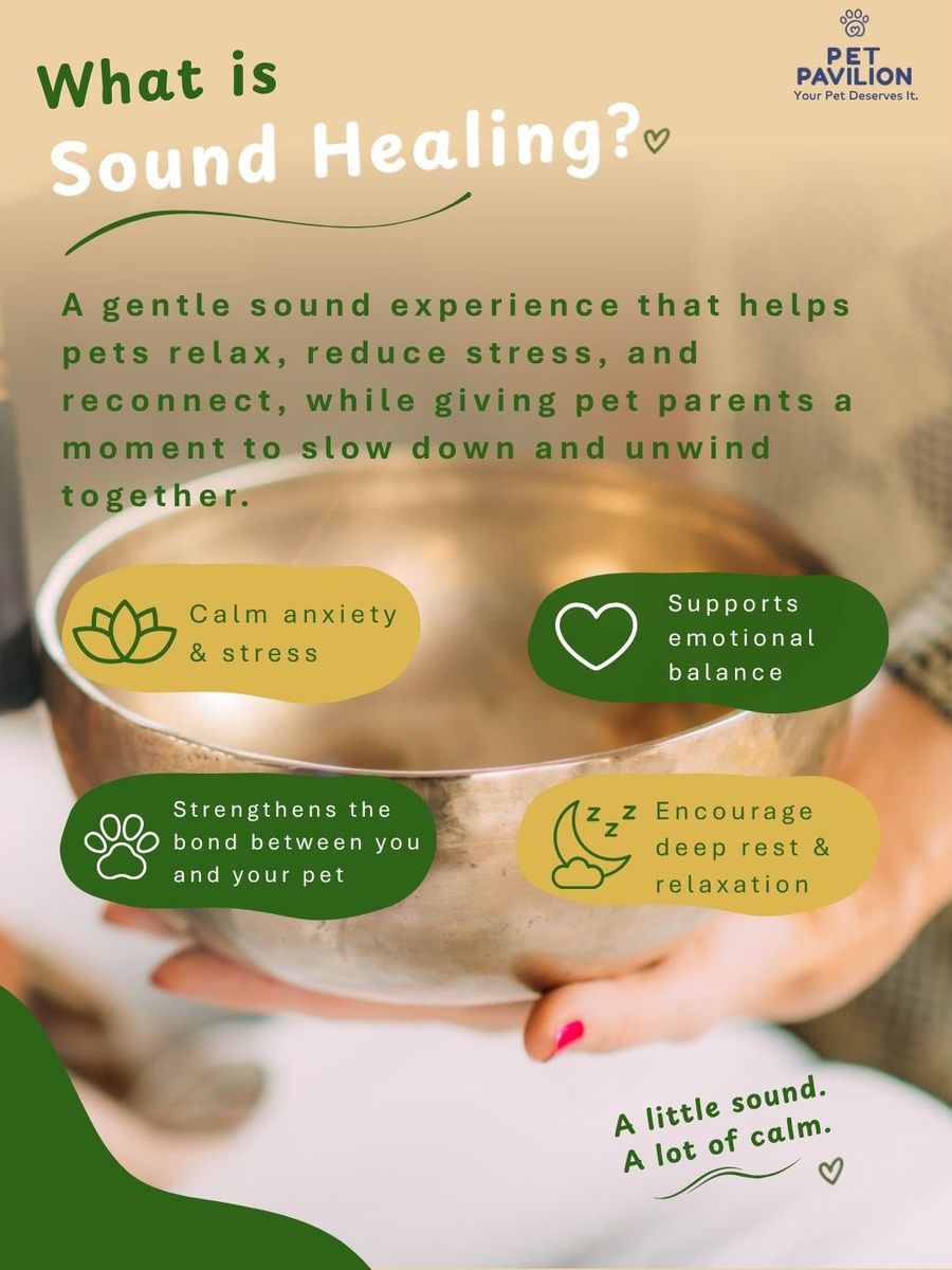 What is sound healing? A gentle sound experience that helps pets relax and reconnect while pet parents slow down and unwind – calms anxiety and stress, supports emotional balance, strengthens your bond, encourages deep rest