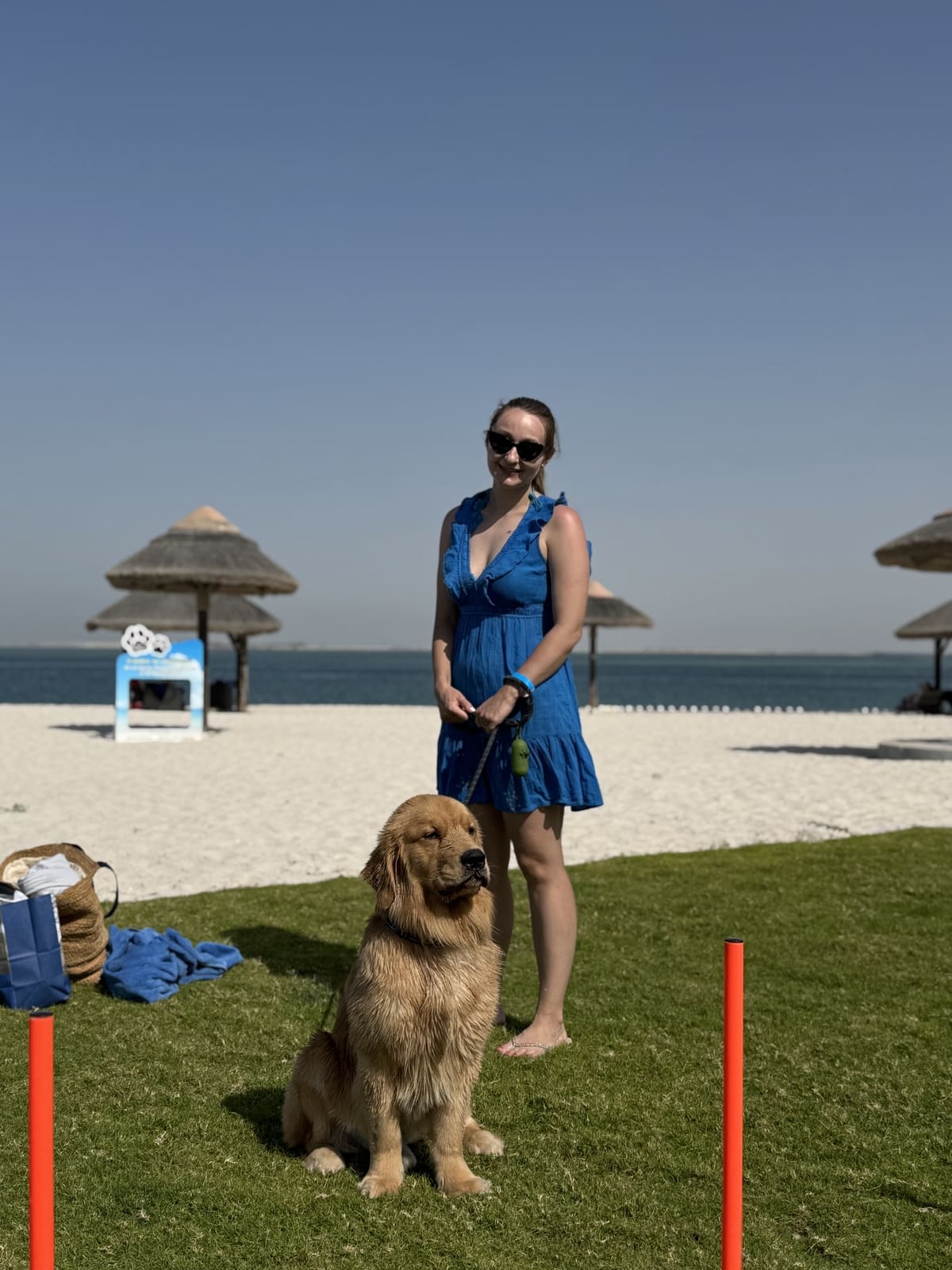 Paws & Waves photo 32
