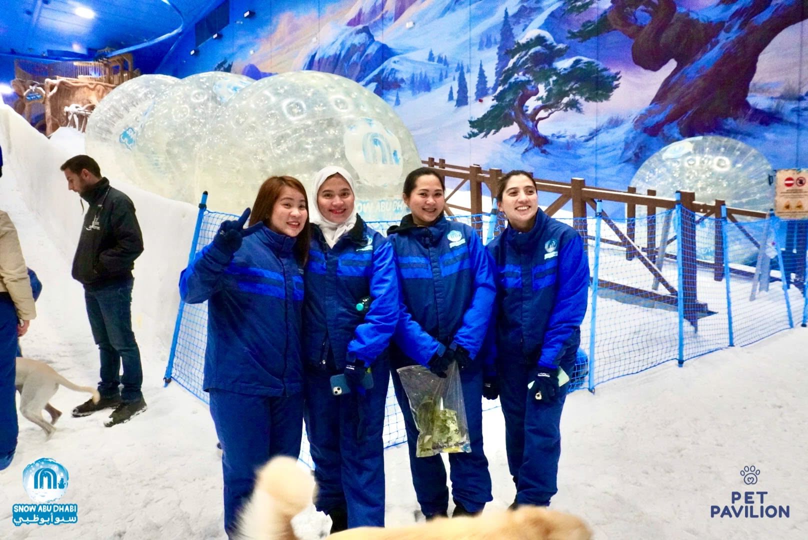 First-Ever Snow Experience for Dogs in Abu Dhabi! photo 11