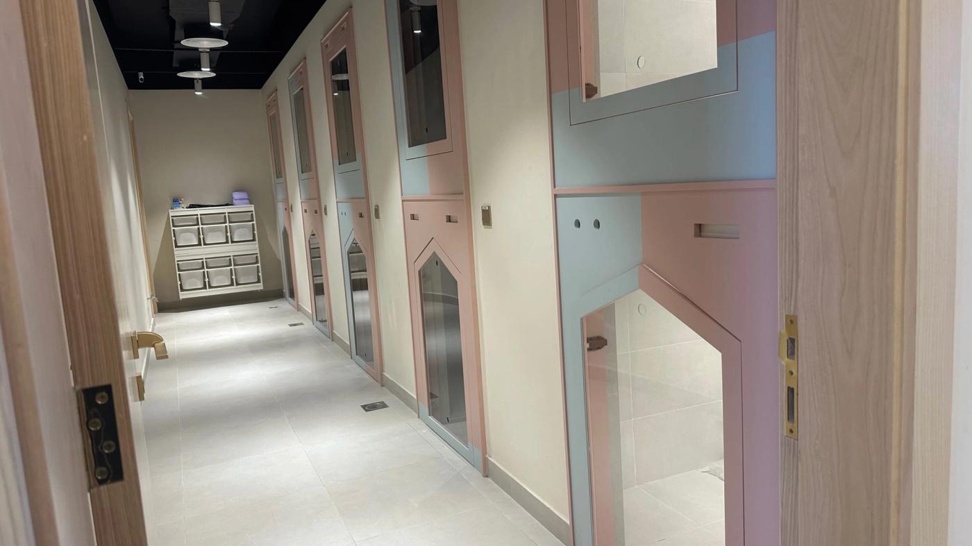 10 Tips for Stress-Free Pet Boarding at Pet Pavilion Abu Dhabi