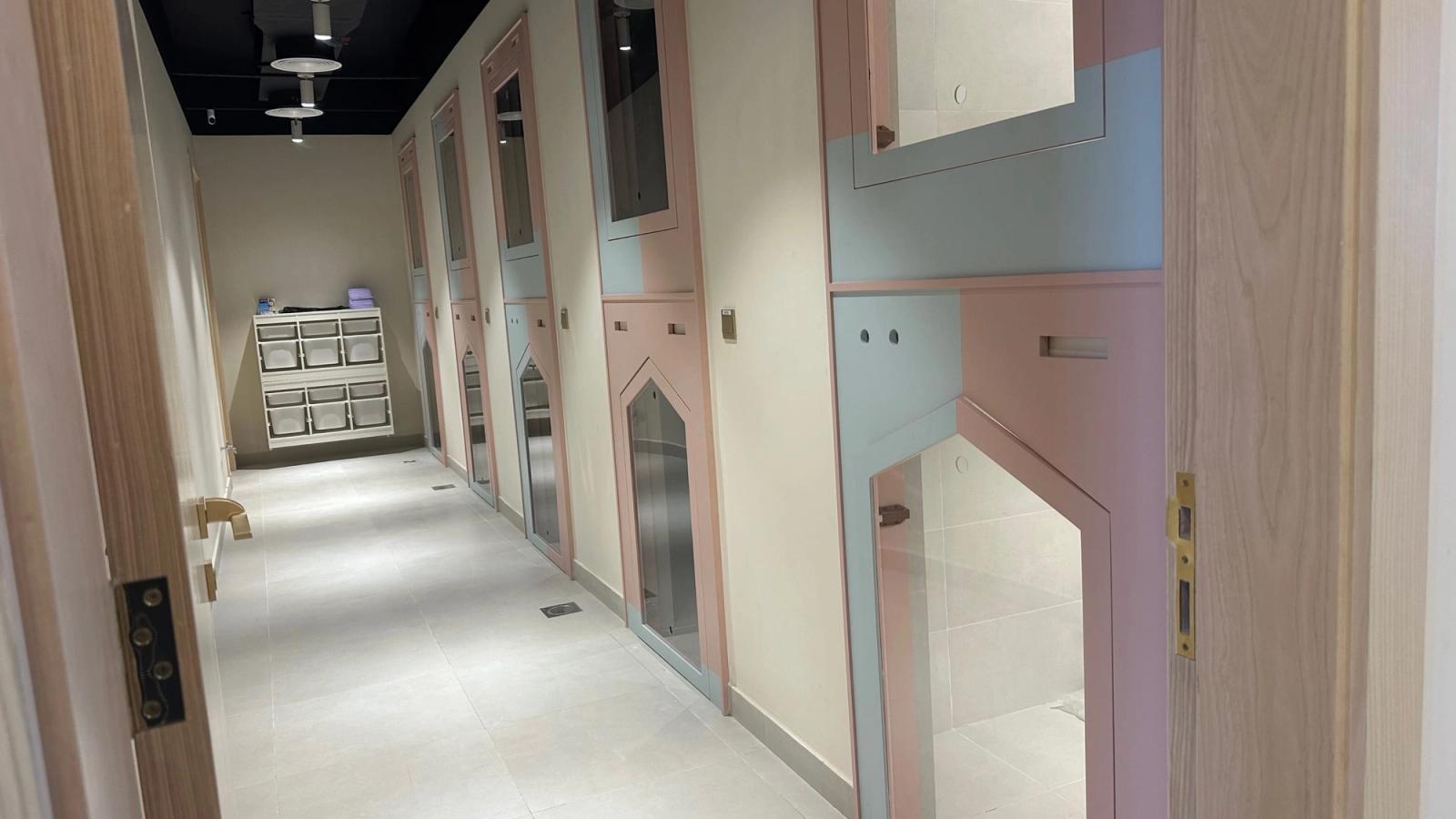 10 Tips for Stress-Free Pet Boarding at Pet Pavilion Abu Dhabi