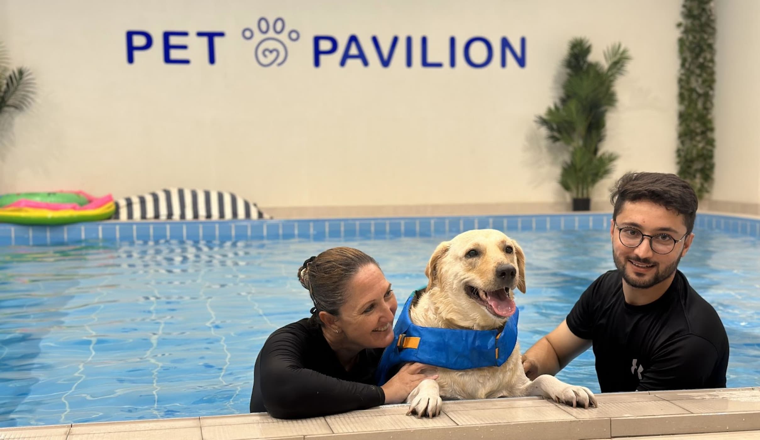 Water Wonders: Unlock a Wave of Wellness with Hydrotherapy at Pet Pavilion