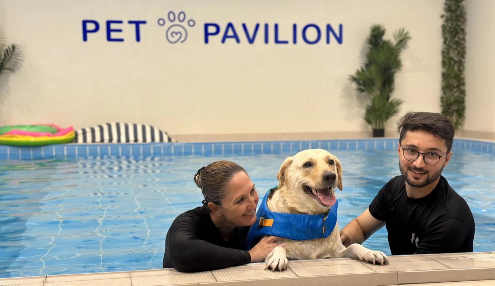 Water Wonders: Unlock a Wave of Wellness with Hydrotherapy at Pet Pavilion