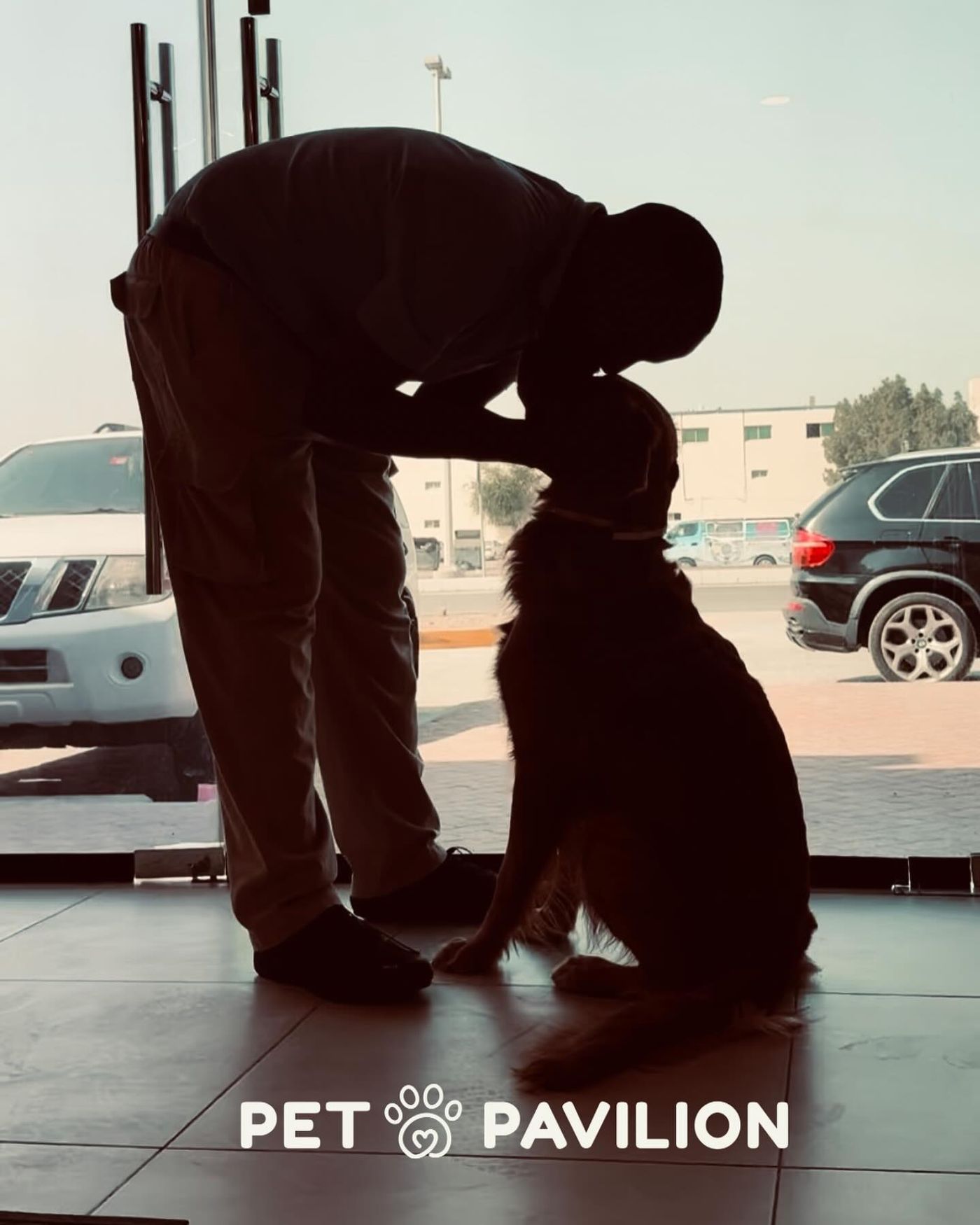 Are You Choosing the Right Boarding Service for Your Pet?