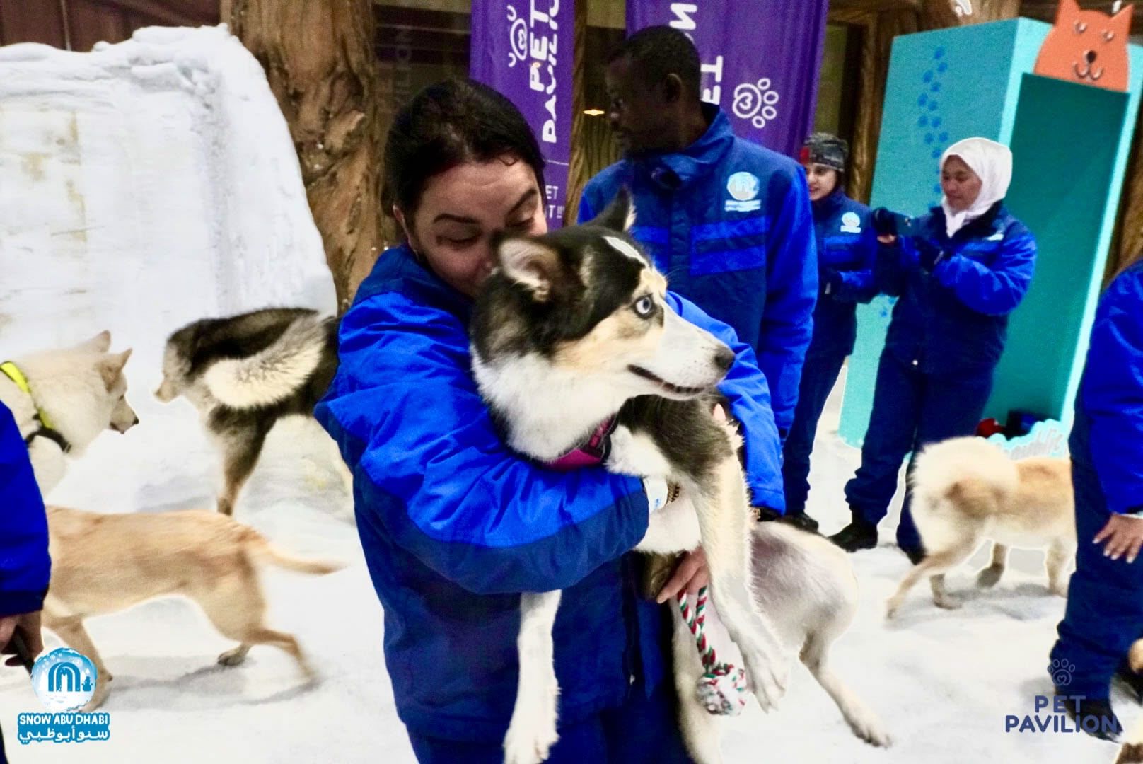 First-Ever Snow Experience for Dogs in Abu Dhabi! photo 7