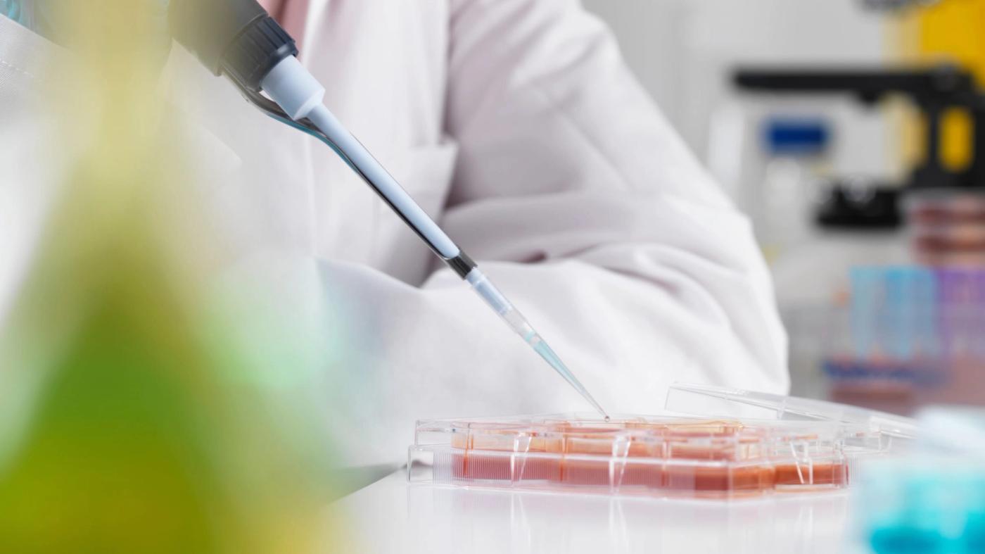 How Could Stem Cells Be Used In Veterinary Medicine For Dogs and Cats?